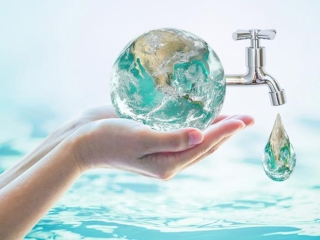 Tại Sao Hoa Khô Là Lựa Chọn Tốt Cho Môi Trường