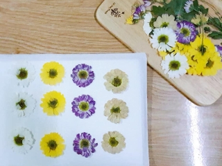 Hướng Dẫn Tự Làm Hoa Khô Tại Nhà: Bước Nhảy Từ Nguyên Liệu Đến Sản Phẩm Hoàn Thiện