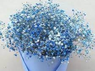 Hương Thơm Dễ Chịu và Tinh Tế: Sản Phẩm Chăm Sóc Nhà Cửa Từ Hoa Khô