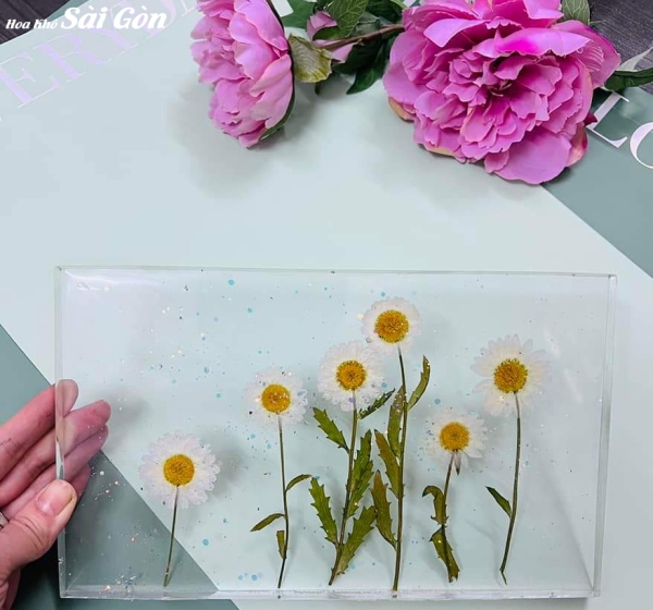 Tranh hoa khô ép Resin Epoxy - Mã: 011